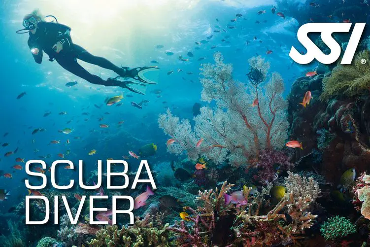 Try Scuba Course
